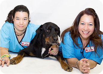 Veterinary Staff in Hollywood | Broward Animal Hospital