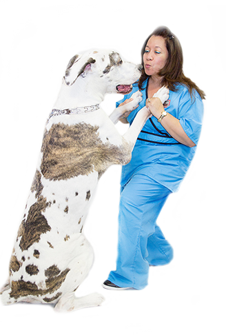 large dog receiving a kiss from vet technician