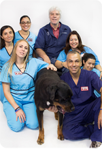 Pet Vaccinations in Hollywood, FL: Group Photo of Staff