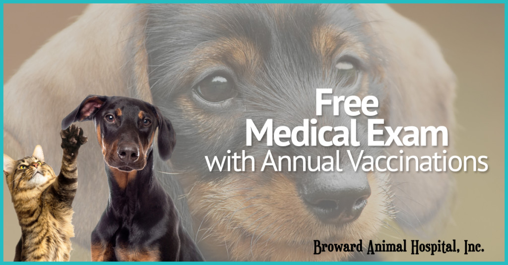 Free Pet Wellness Exams in Hollywood, FL